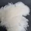 Whiting Coq de Leon Hen Soft Hackle with Chickabou in Pure White